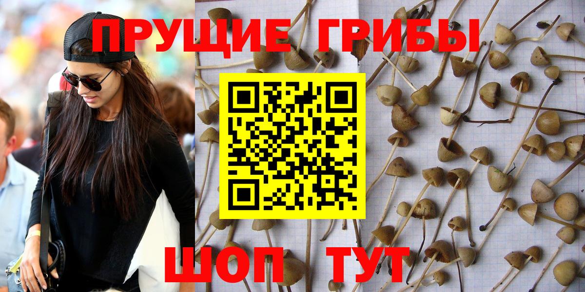 Галлюциногенные грибы мицелий Армавир