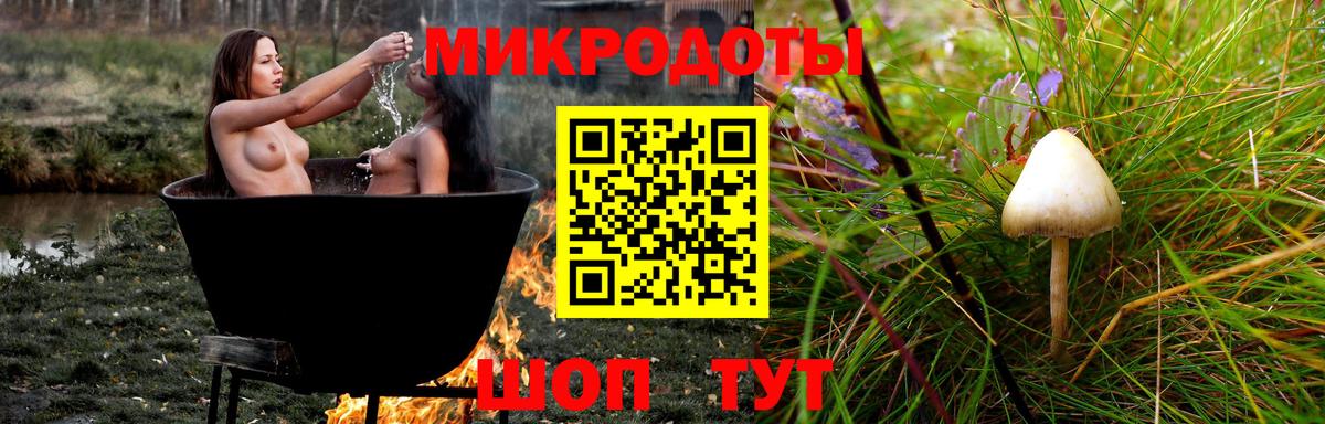 где купить наркоту  Псилоцибиновые грибы Magic Shrooms  Вход с VPN  Армавир 